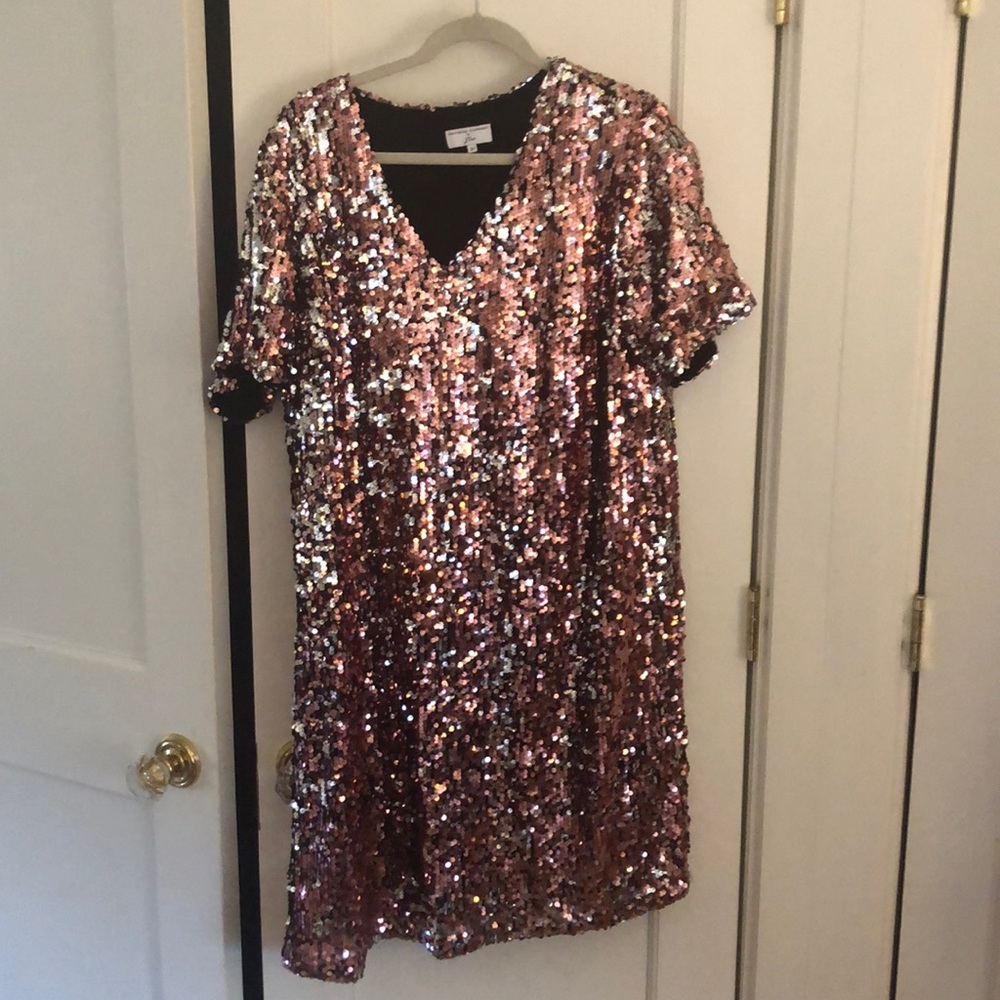 Universal Standard for J Crew sequin dress 2X 18